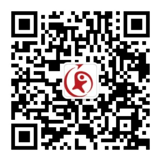 远播教育